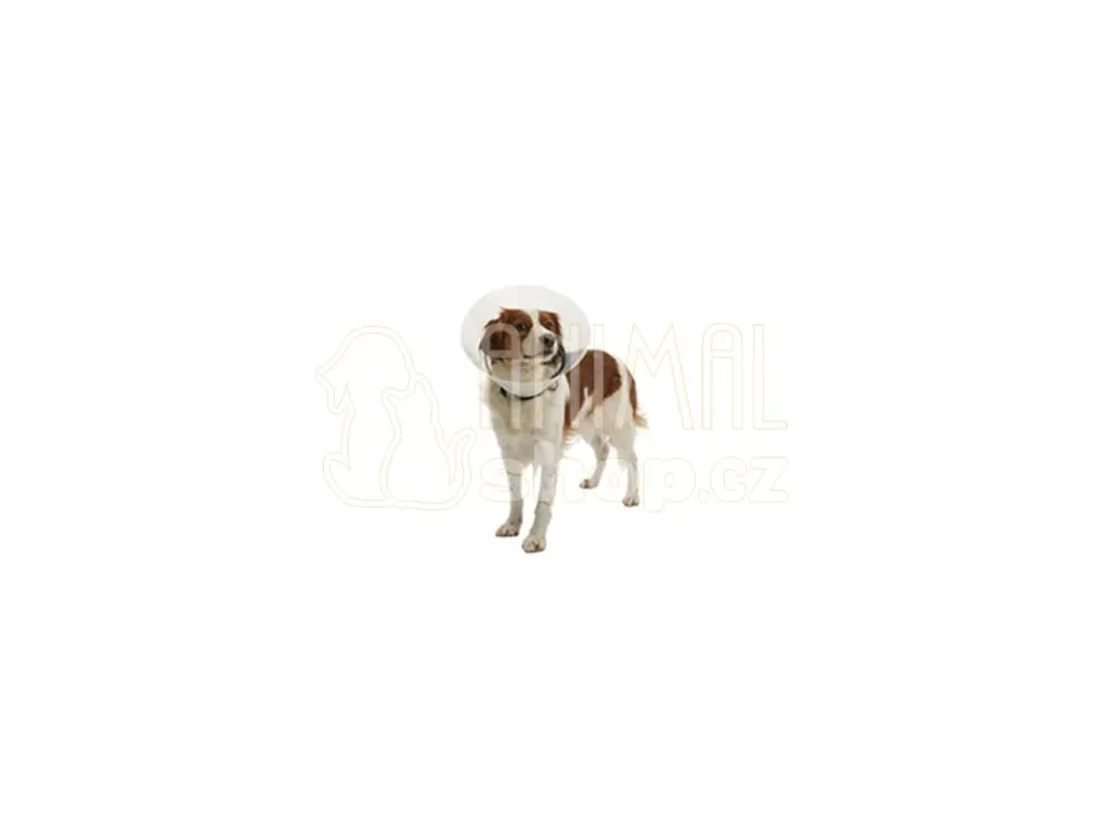 Límec ochranný BUSTER plastový Clic Collar 30cm Horká Nabídka