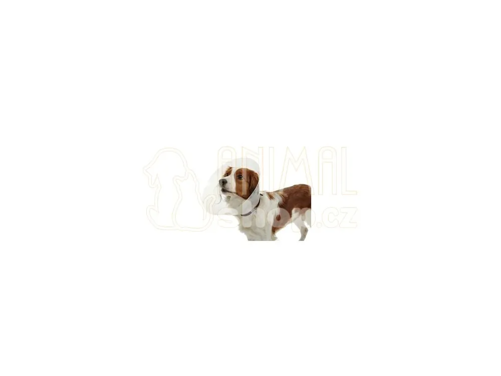 Límec ochranný BUSTER plastový Classic Collar 10cm Nakupujte Hned