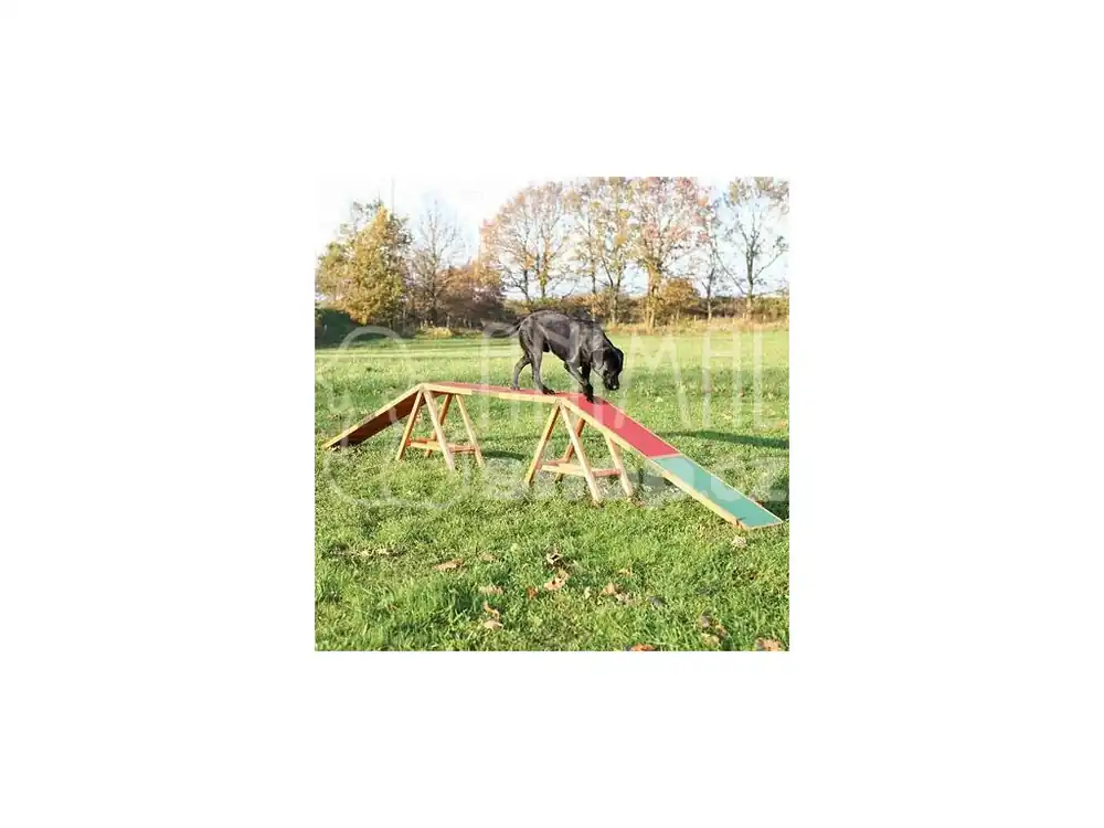Cenová Bomba Dog Activity AGILITY nácviková lávka 456x64x30 cm