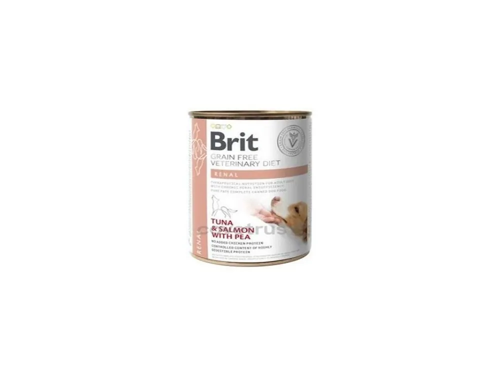 Cenový Hit Brit VD Dog GF konz. Renal 400g