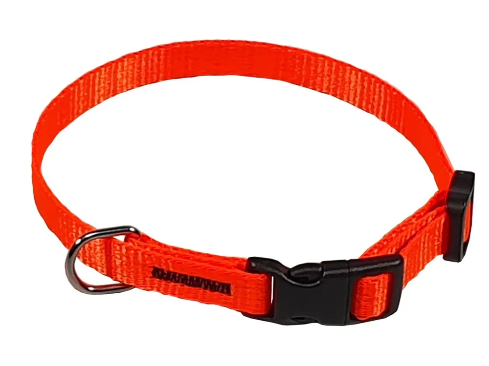 Objednat Nyní HUHUBAMBOO obojek NEON popruhový 1 x 18-26 cm, oranžový
