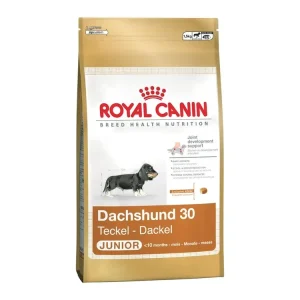 Výhodná Nabídka Royal Canin Jezevčík Junior 1,5 kg