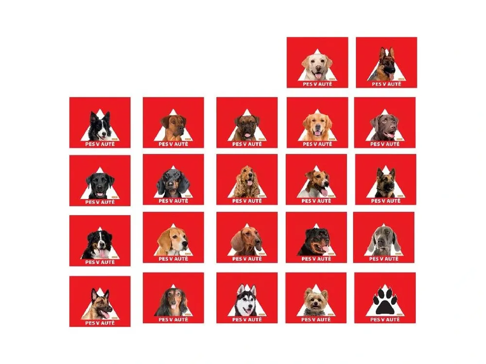 Ihned K Objednání Samolepka HUSKY/MALAMUT