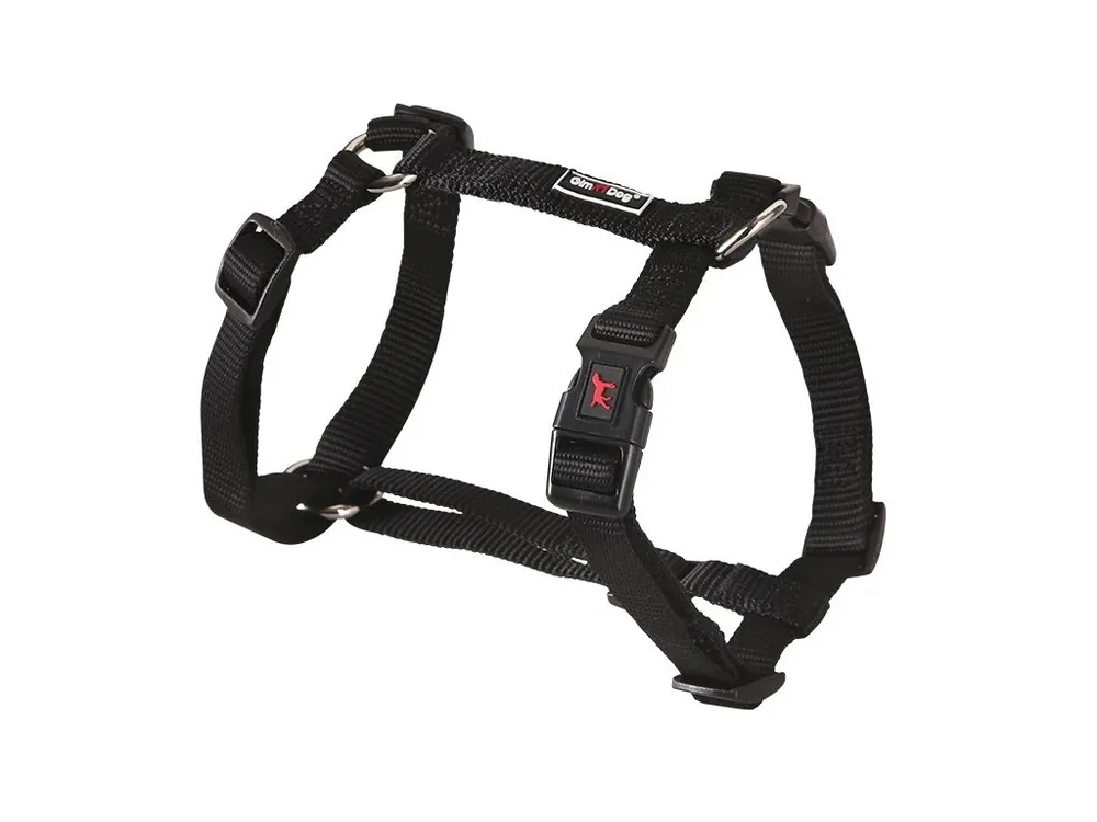 Aktuální Postroj Gimborn Nylon H 3,8 x 80 - 110 cm černý