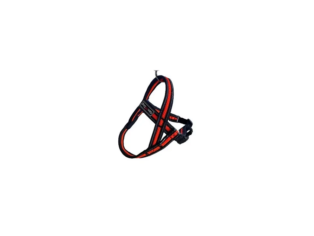 Jen Po Omezenou Doba Postroj GimBorn Mesh Y 2,5 x 70 72 - 90 cm oranžový