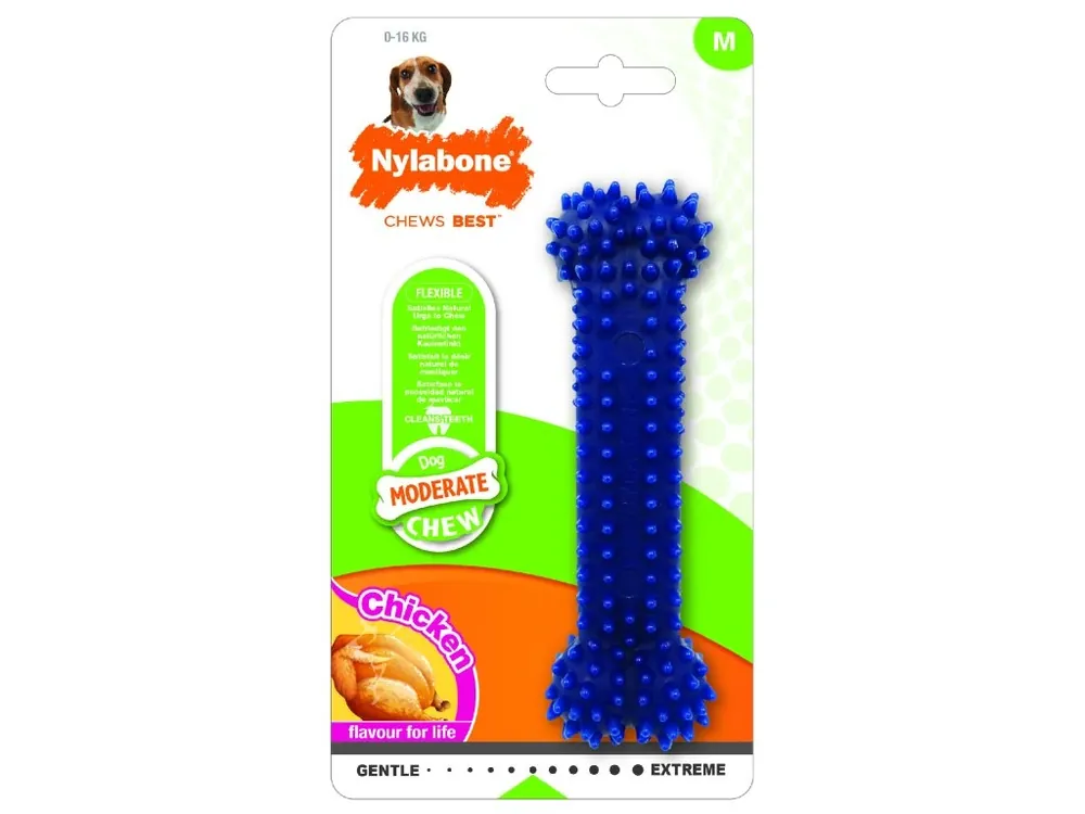 Nejlepší Cena Hračka NYLABONE Moderate Dental Chew M