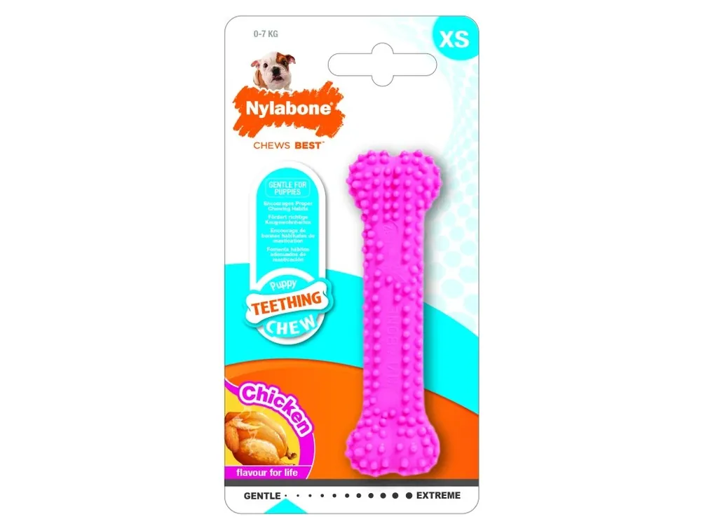Nejlepší Cena Hračka Nylabone Puppy Teething Dental Chew růžová XS