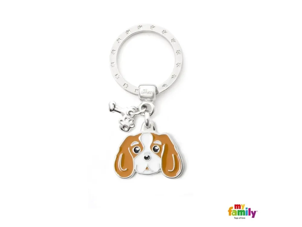 Kup Teď Známka Colors - cavalier king světlý
