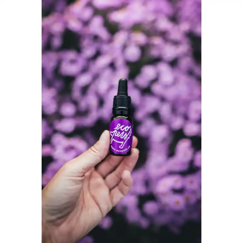 Víkendová Akce Ecopets Dog & Cat LESNÍ KAPKA-Sérum proti klíšťatům 30ml