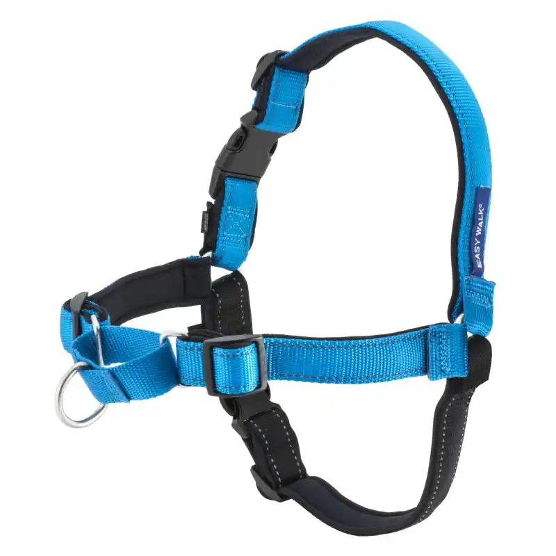 Ihned K Objednání PetSafe Postroj EasyWalk Deluxe modrý velikost M