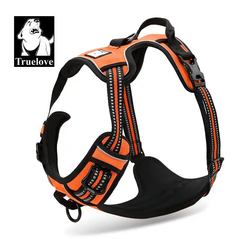 Postroj Reflex Active Outdoor pro psy oranžový L 69-81 Objednat Nyní