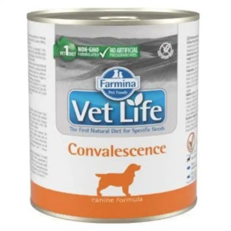 Autentický Vet Life Natural Dog konz. Convalescence 300g