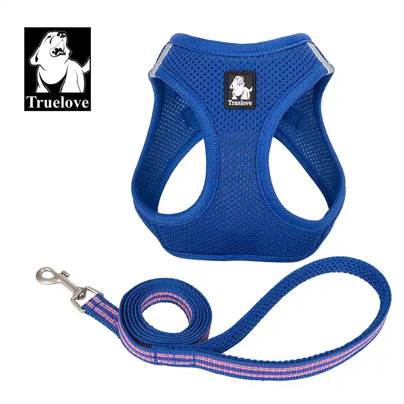 Must-Have Sada postroj a vodítko pro malé psy/kočky modrý XXXS