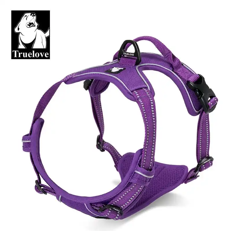Postroj Reflex Active Outdoor pro psy fialový M 56-69 Přímo Od Výrobce