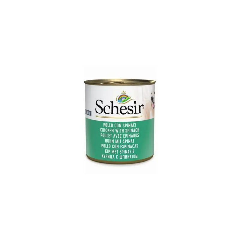 Schesir Dog konz. Adult kuře/špenát 285g Novinka