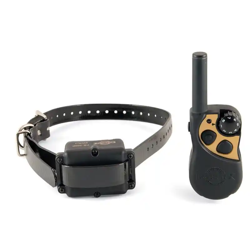 Aktuální PetSafe 250m Trenér