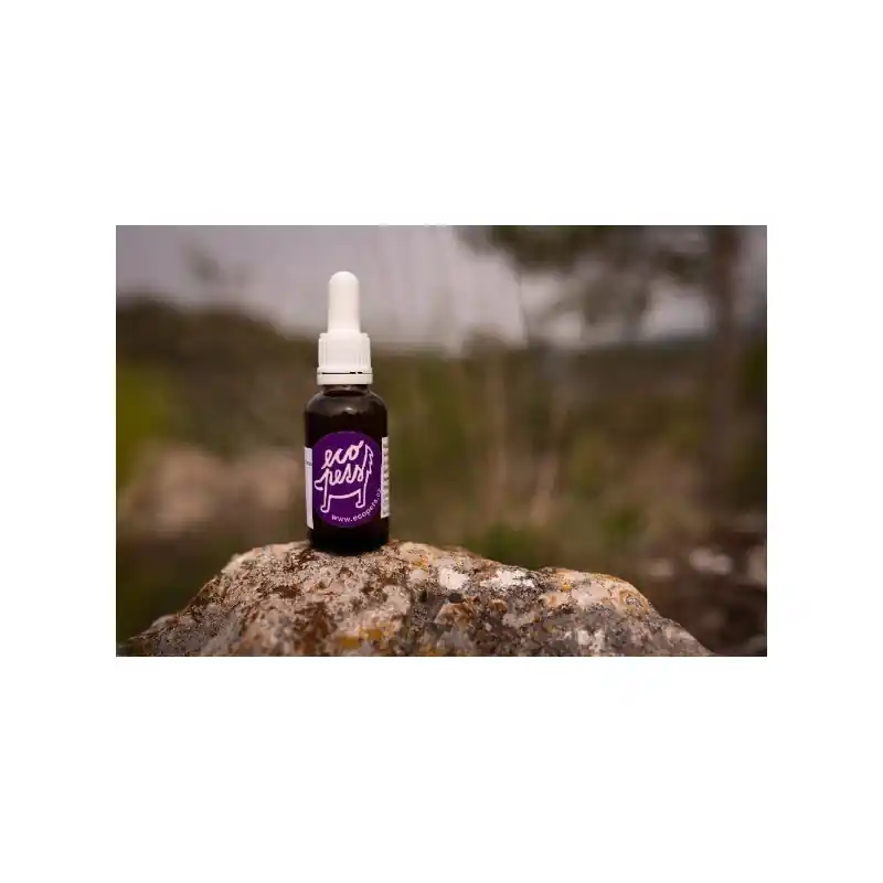 Speciální Cena Ecopets Dog & Cat Olej Zuby 30ml