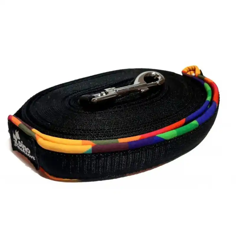 Objednat Nyní Dinofashion Dog Stopovací vodítko Sancho 10m/2cm