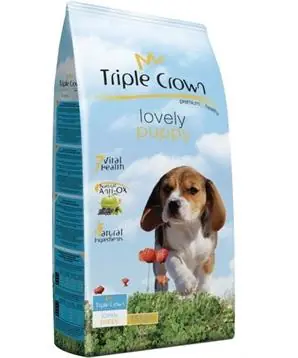 Přímo Od Výrobce TRIPLE CROWN LOVELY PUPPY DOG - 20 kg - 985 Kč