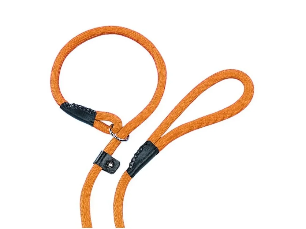Kup Teď Nobby FUN vodítko s obojkem 170cm / 13mm oranžová