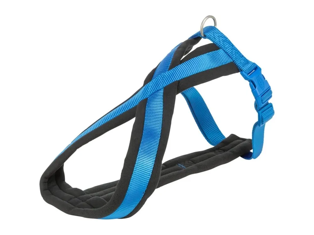 Nylonový postroj PREMIUM podšitý - královská modrá Aktuální