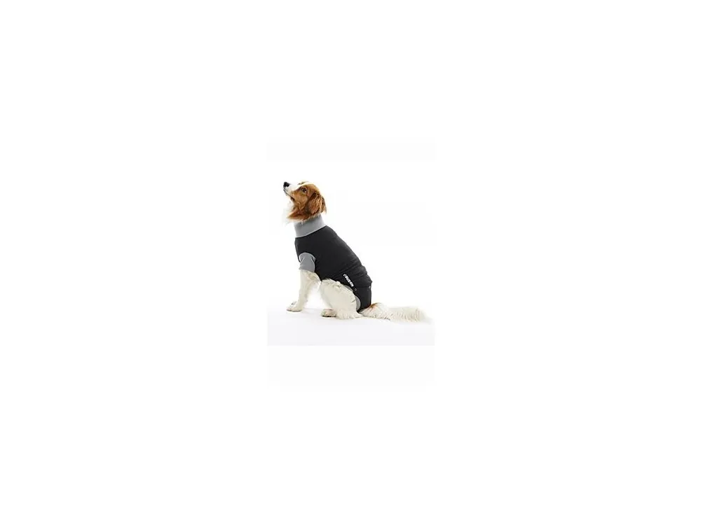 Výhodná Nabídka Obleček EasyGo Body Dog 63cm XL BUSTER