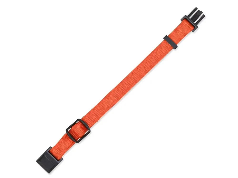 Nová Kolekce Obojek rozeznávací štěně mix barev M–L 22–35cm*10mm 6ks