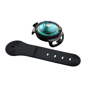 Orbiloc LED světlo na obojek Turquoise Akční Nabídka