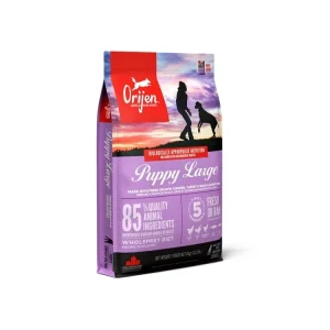 Vysoce Kvalitní ORIJEN PUPPY LARGE 6 kg