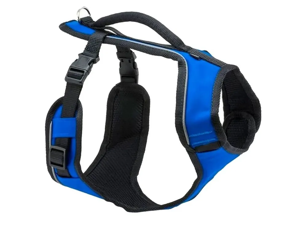 Top Prodej PetSafe® Postroj EasySport modrý M