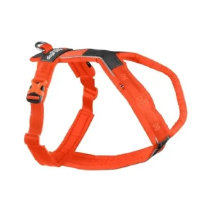 Expresní Doručení Postroj pro psy Non-Stop dogwear Line 4 oranžový