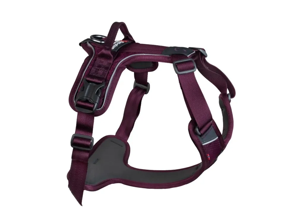 Postroj pro psy Non-Stop dogwear Ramble, fialový Akce