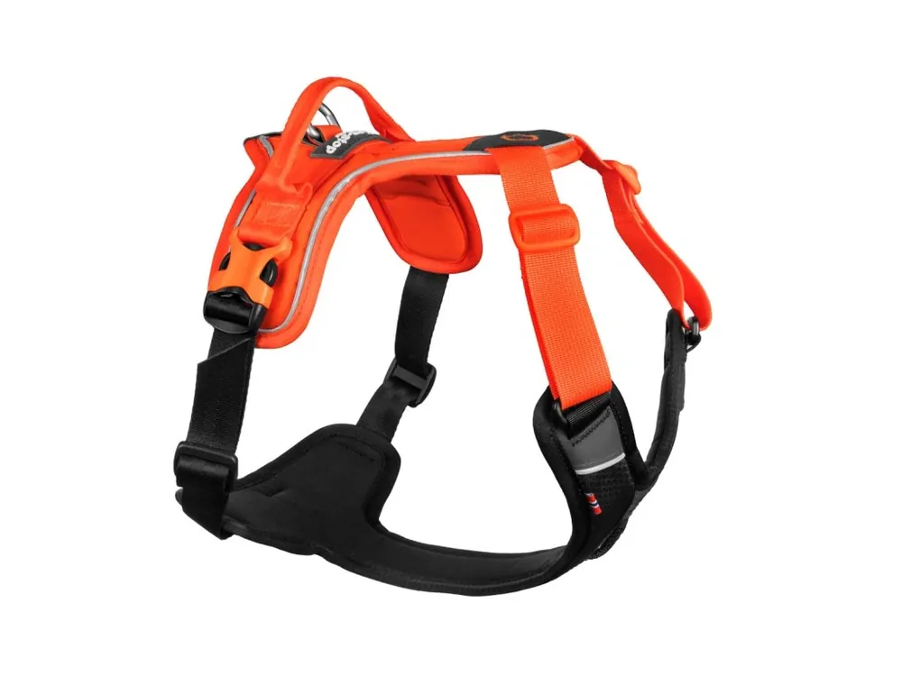 Postroj pro psy Non-Stop dogwear Ramble, oranžovo-černý Akční Nabídka