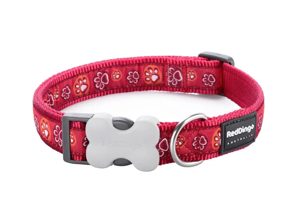 Jen Po Omezenou Doba Red Dingo obojek – Paw Impressions Red – 12 mm x 20-32 cm