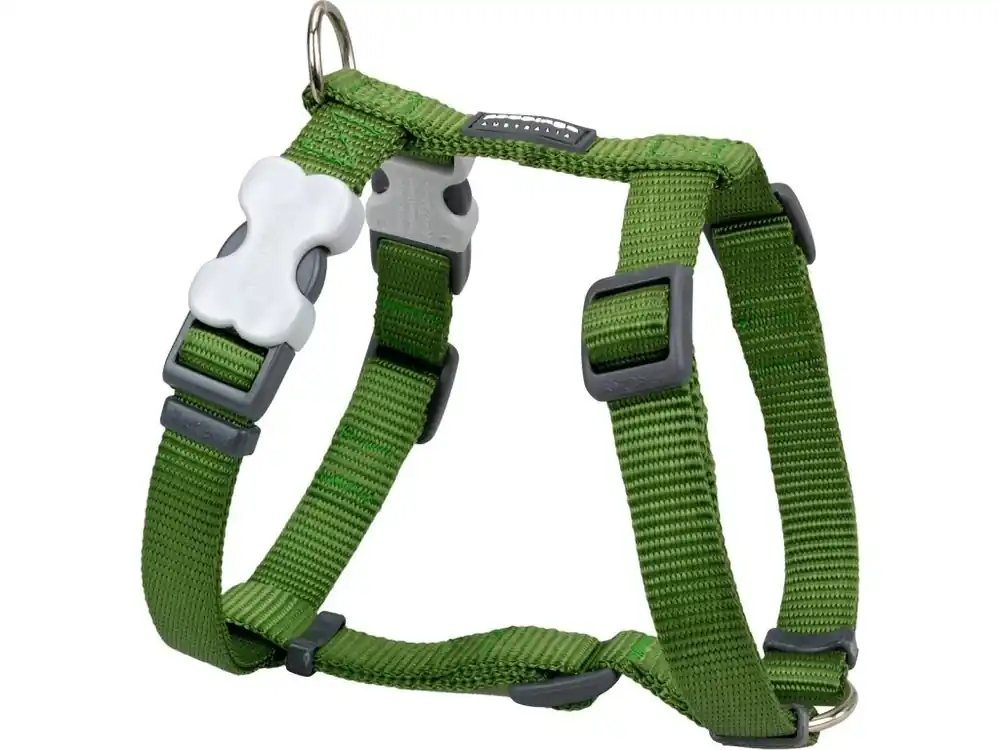 Red Dingo postroj – Green – 12 mm x 30-44 cm Tovární Cena