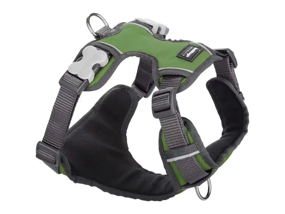 Red Dingo postroj polstrovaný – Green – 15 mm x 37-52 cm Ověřený