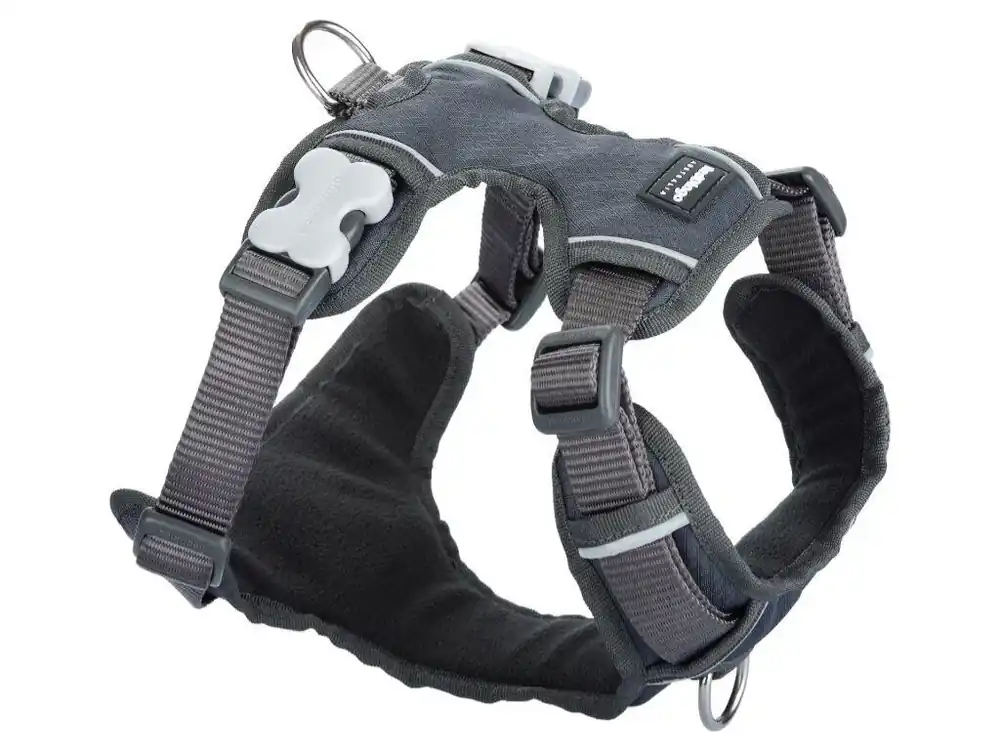 Red Dingo postroj polstrovaný – Grey – 20 mm x 46-63 cm Značkový