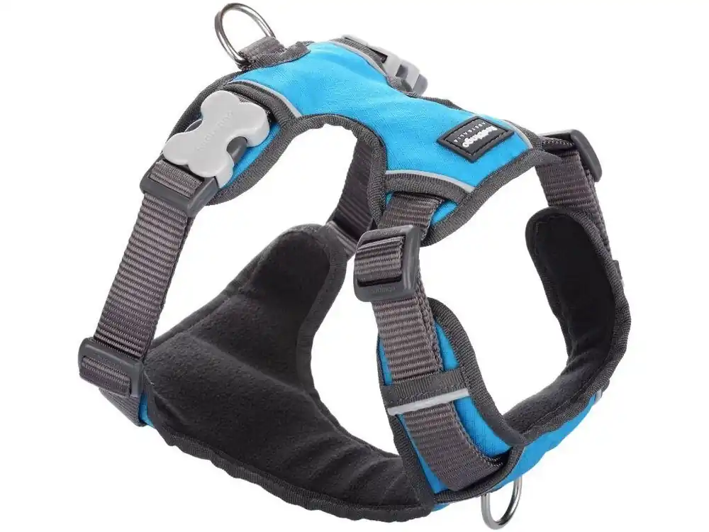 Super Cena Red Dingo postroj polstrovaný – Turquoise – 25 mm x 56-80 cm