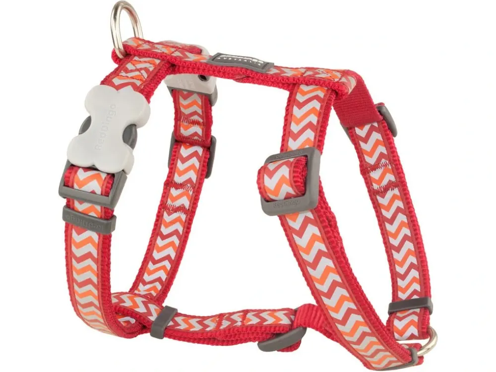 Red Dingo postroj reflexní – Ziggy Red – 15 mm x 36-54 cm Víkendová Akce