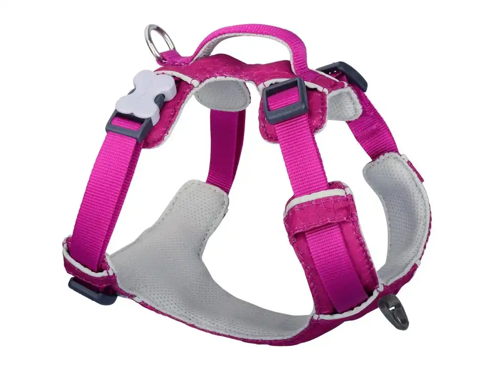 Výprodej Red Dingo postroj Sport – Fuchsia – 20 mm x 47-64 cm