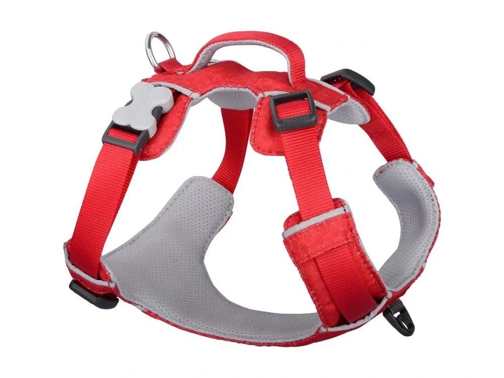 Víkendová Akce Red Dingo postroj Sport – Red – 20 mm x 47-64 cm