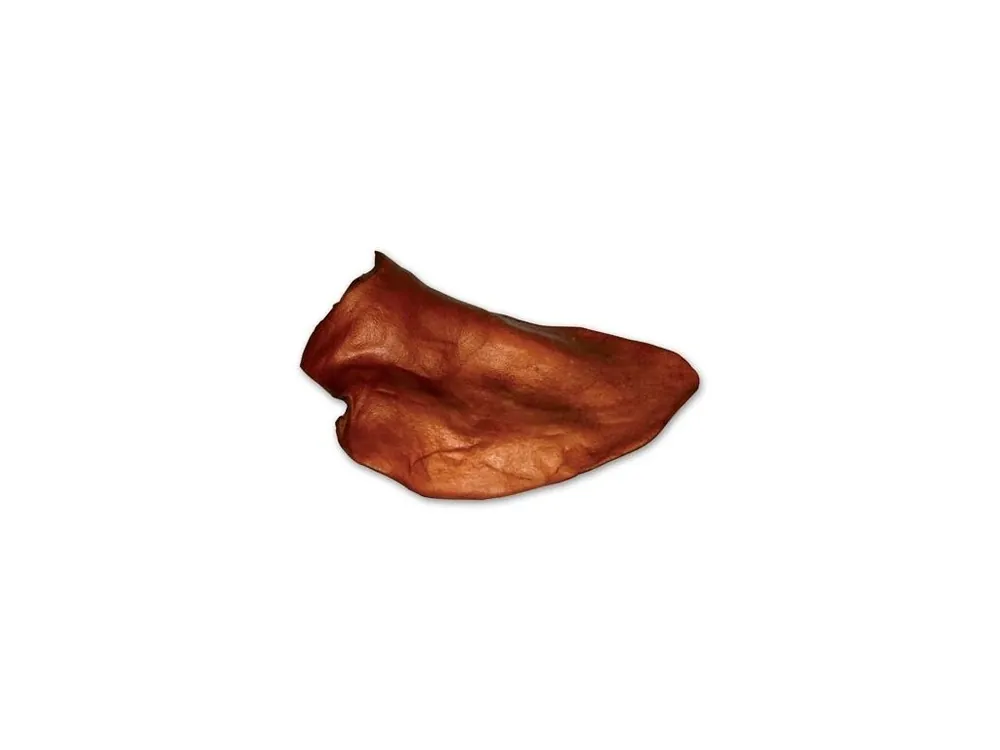 Vepřové ucho 1 ks Akční Nabídka
