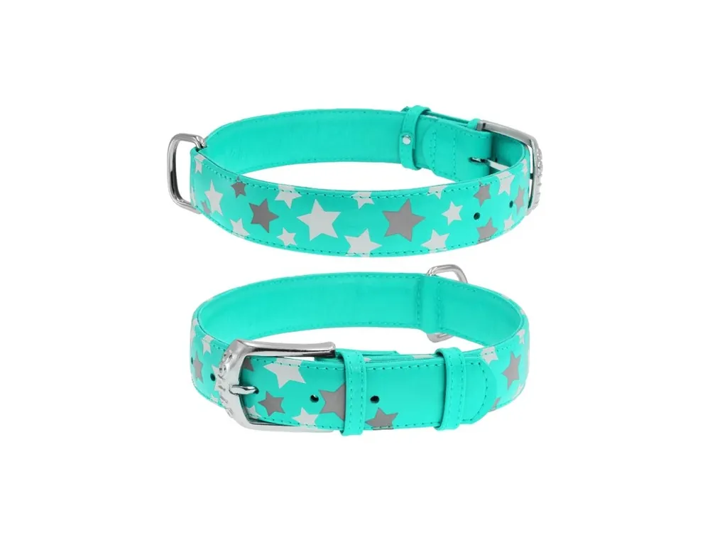WAUDOG obojek kožený Stars mint (38-49cm/2,5cm) Must-Have