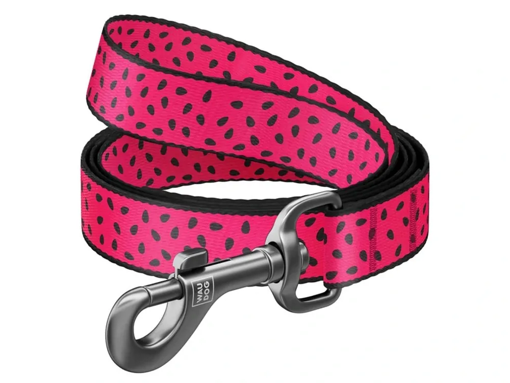 Nová Kolekce WAUDOG vodítko nylon Meloun (L-XXL/122cm/2,5cm)