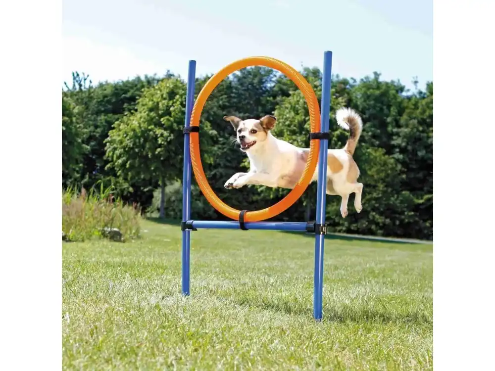 Rychlé Dodání AGILITY kruh proskakovací