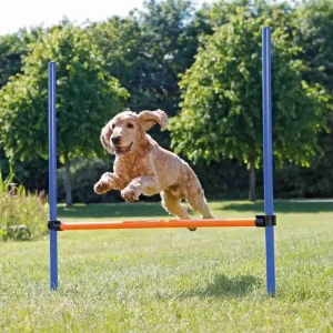Agility překážka pro psy Trixie Agility, 123 x 115 cm Cenová Bomba