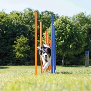 AGILITY Slalom, tyče 12ks Kup Teď