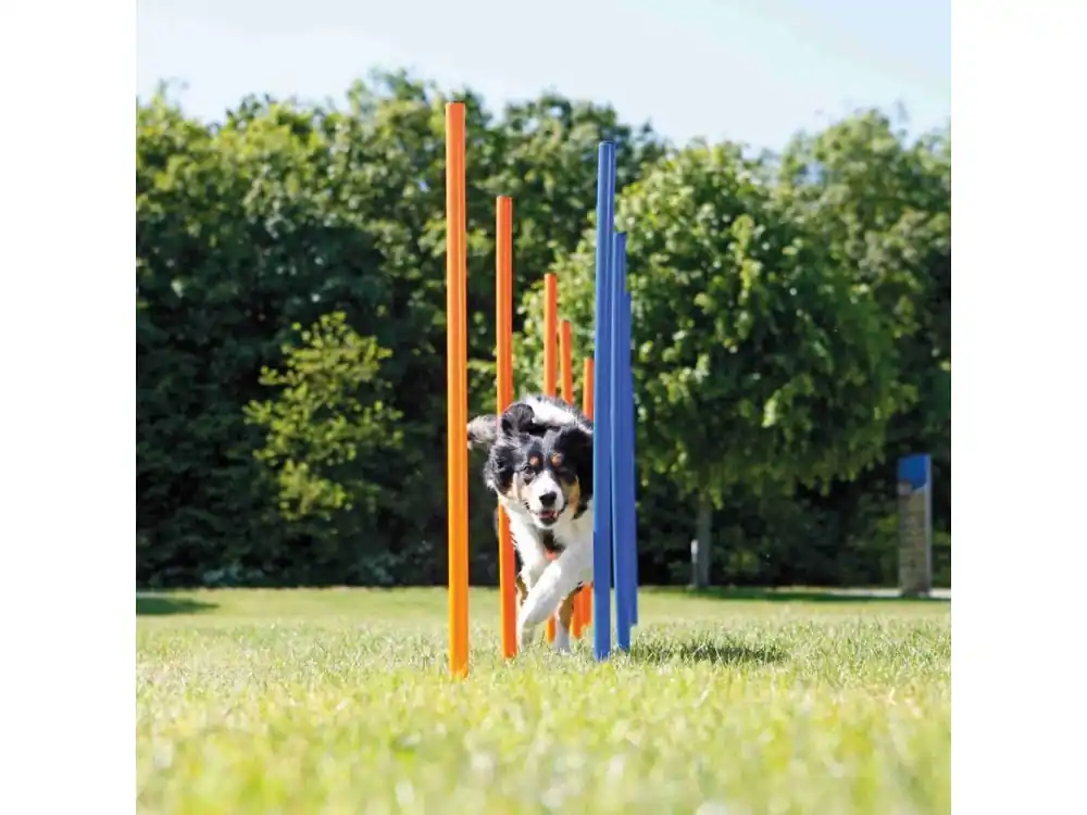 AGILITY Slalom, tyče 12ks Kup Teď