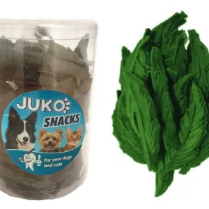 Tovární Cena Dentální lístečky Mint JUKO Snacks (40 ks)