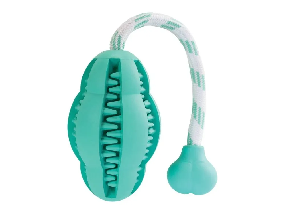 Nejlepší Cena Dentální péče mátový Hopping na laně HipHop